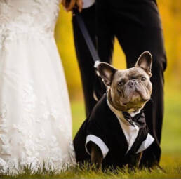 Pet Friendly Wedding Venue